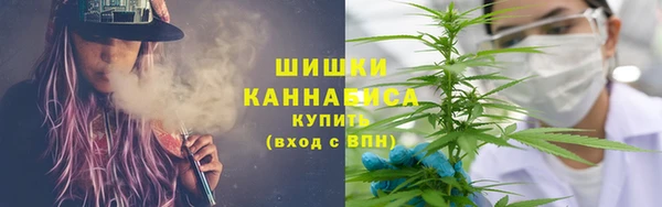 прущие грибы Верея