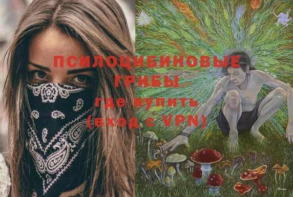 первитин Бородино