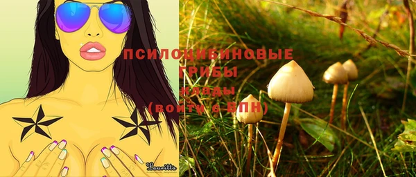 скорость Бронницы