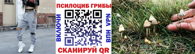 Псилоцибиновые грибы мухоморы  Копейск 